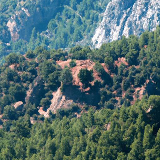 A panoramic view of the rich biodiversity in one of Turkey's nature reserves