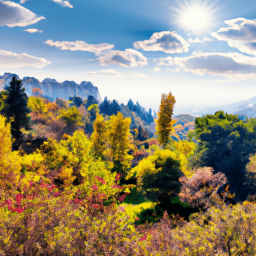 A panoramic view of Botanik Park in Ankara, showcasing its lush vegetation amidst the cityscape.