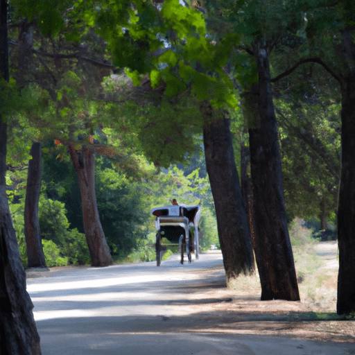 5. A serene landscape of the Princes' Islands, showing a horse-drawn carriage on a tree-lined path