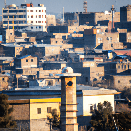 A panoramic view of Diyarbakır, showcasing its unique architecture and landscape.