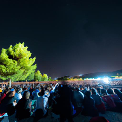 A panoramic view of the crowd gathered for a film screening under the starlit sky in Denizli.